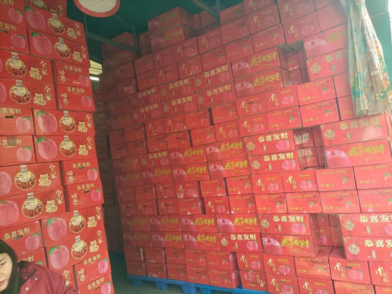 批发代理行业动态：新趋势与机遇